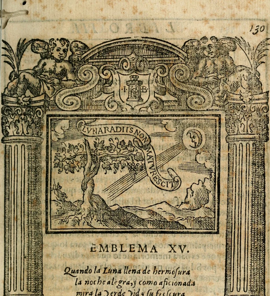An illustration from Emblemas morales de Don Iuan de Horozco Covarruuias..., 1604, leaf 438