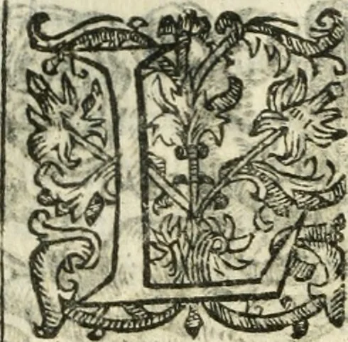 An illustration from Emblemas morales de Don Iuan de Horozco Covarruuias..., 1604, leaf 467