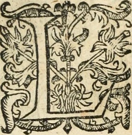 An illustration from Emblemas morales de Don Iuan de Horozco Covarruuias..., 1604, leaf 487