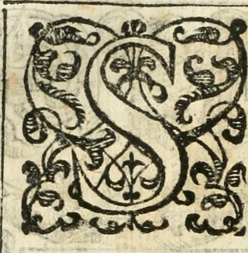 An illustration from Emblemas morales de Don Iuan de Horozco Covarruuias..., 1604, leaf 499