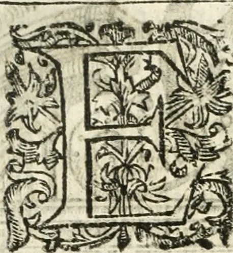 An illustration from Emblemas morales de Don Iuan de Horozco Covarruuias..., 1604, leaf 523