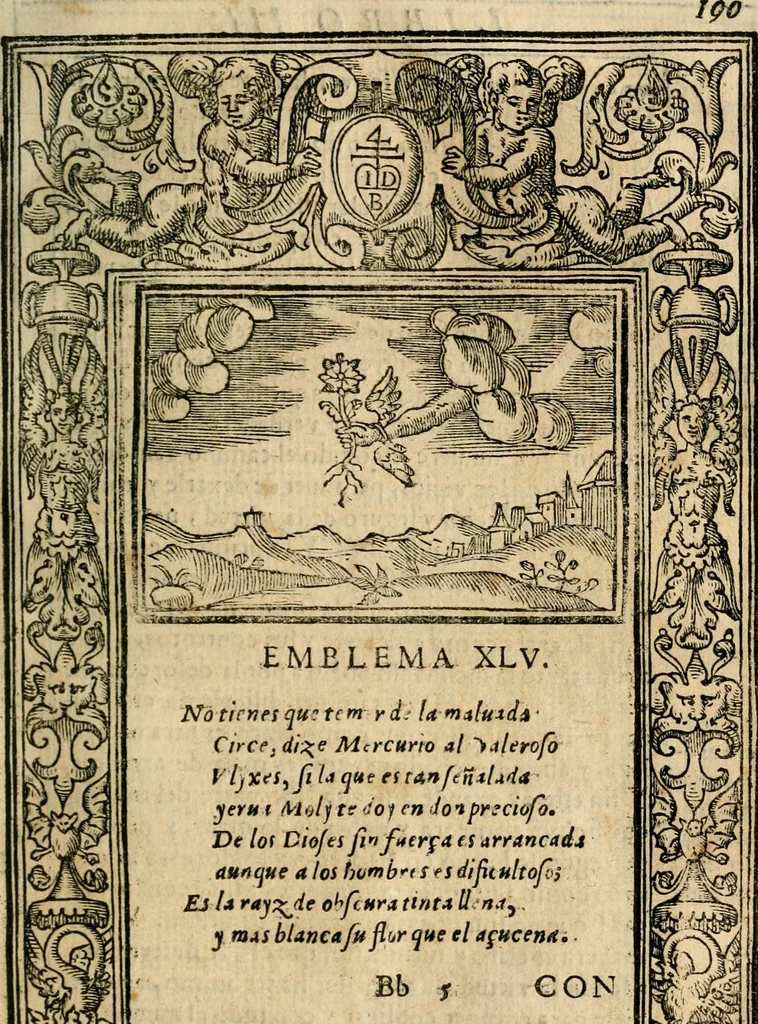 An illustration from Emblemas morales de Don Iuan de Horozco Covarruuias..., 1604, leaf 558