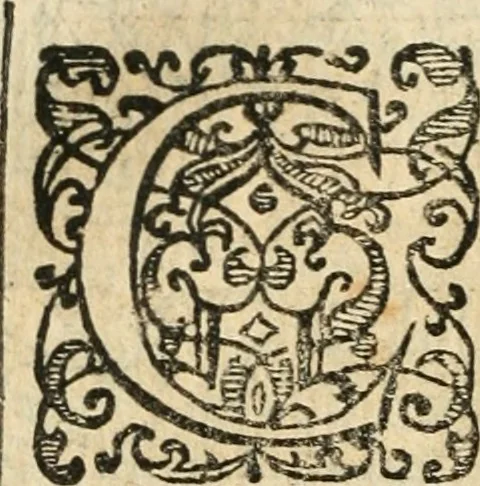 An illustration from Emblemas morales de Don Iuan de Horozco Covarruuias..., 1604, leaf 559