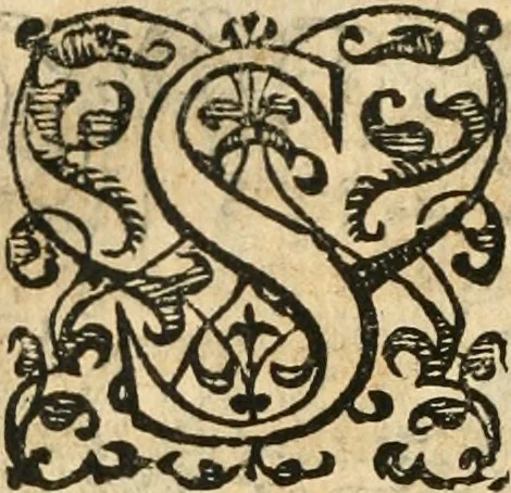 An illustration from Emblemas morales de Don Iuan de Horozco Covarruuias..., 1604, leaf 575