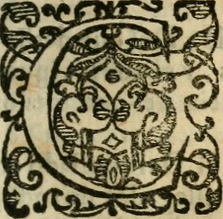 An illustration from Emblemas morales de Don Iuan de Horozco Covarruuias..., 1604, leaf 582