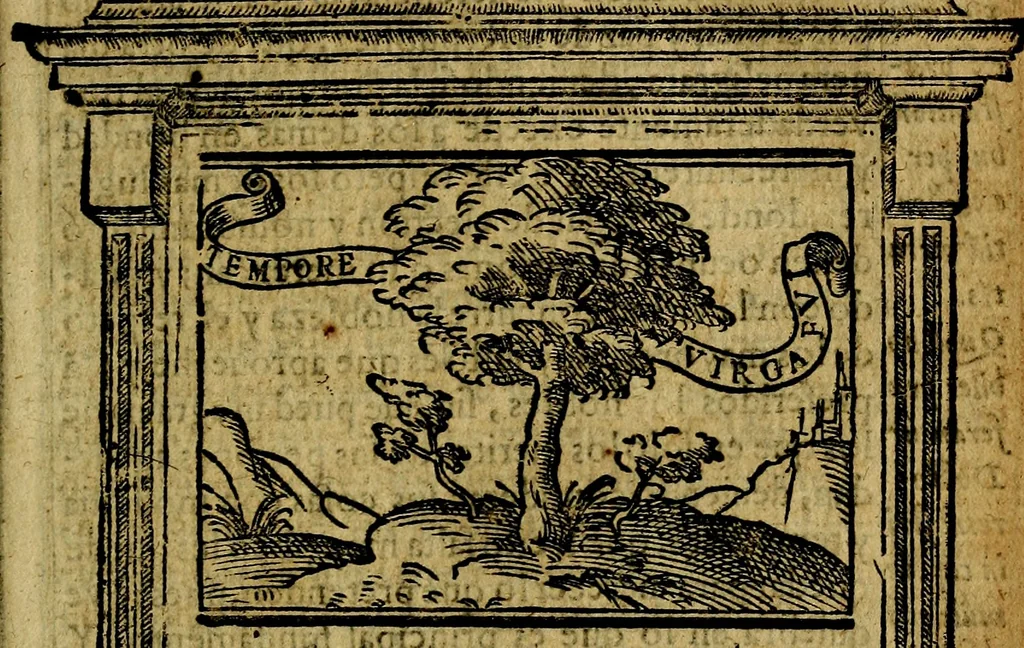 An illustration from Emblemas morales de Don Iuan de Horozco y Couarruuias Arcediano de Cuellar en la Santa Yglesia de Segouia., 1591, leaf 332