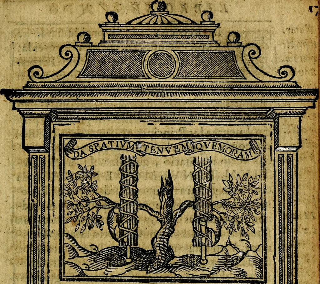 An illustration from Emblemas morales de Don Iuan de Horozco y Couarruuias Arcediano de Cuellar en la Santa Yglesia de Segouia., 1591, leaf 348