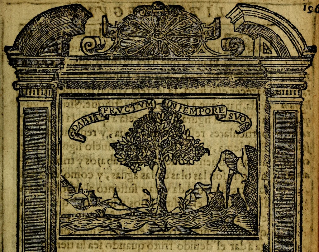 An illustration from Emblemas morales de Don Iuan de Horozco y Couarruuias Arcediano de Cuellar en la Santa Yglesia de Segouia., 1591, leaf 396