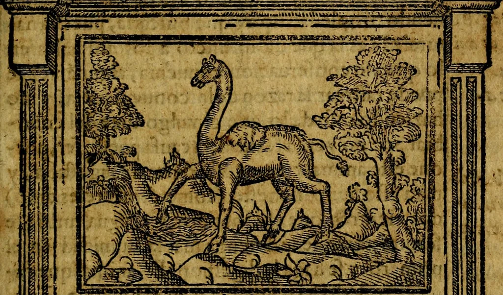 An illustration from Emblemas morales de Don Iuan de Horozco y Couarruuias Arcediano de Cuellar en la Santa Yglesia de Segouia., 1591, leaf 476