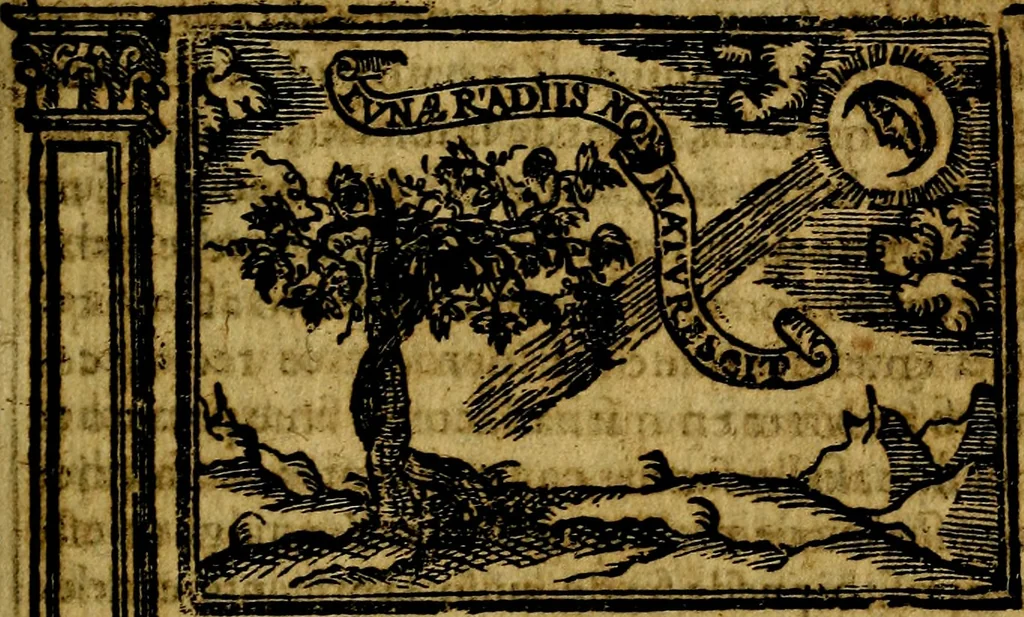 An illustration from Emblemas morales de Don Iuan de Horozco y Couarruuias Arcediano de Cuellar en la Santa Yglesia de Segouia., 1591, leaf 484
