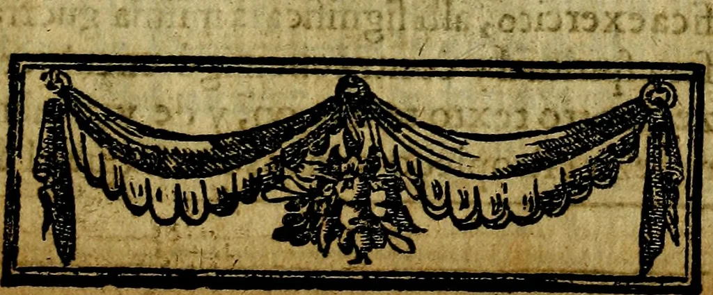 An illustration from Emblemas morales de Don Iuan de Horozco y Couarruuias Arcediano de Cuellar en la Santa Yglesia de Segouia., 1591, leaf 508