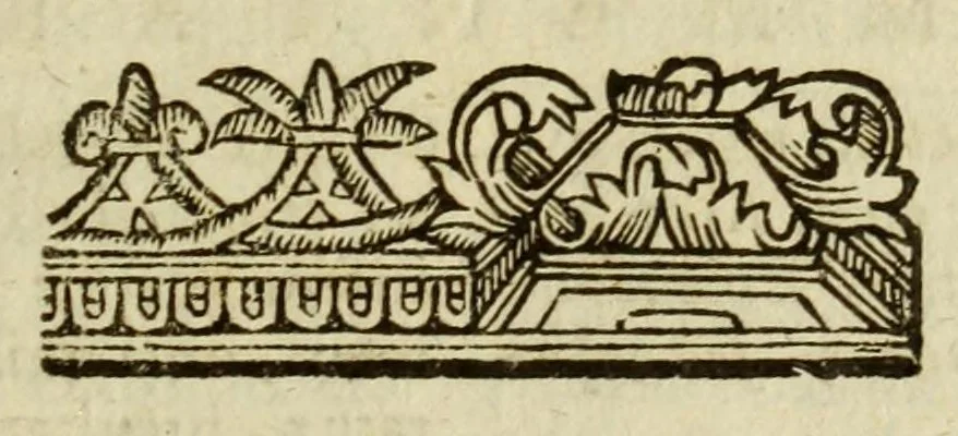 An illustration from Andreae Alciati Emblemata, 1621, leaf 195