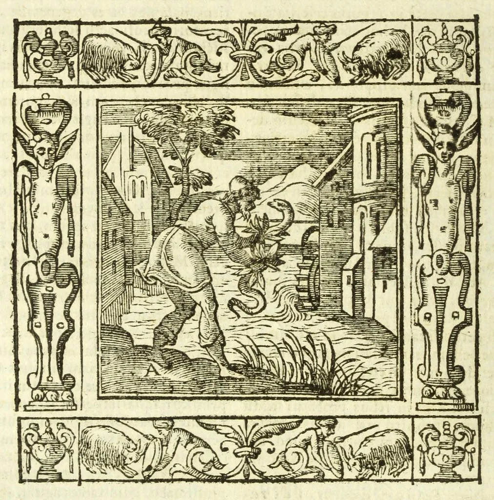 An illustration from Andreae Alciati Emblemata, 1621, leaf 204