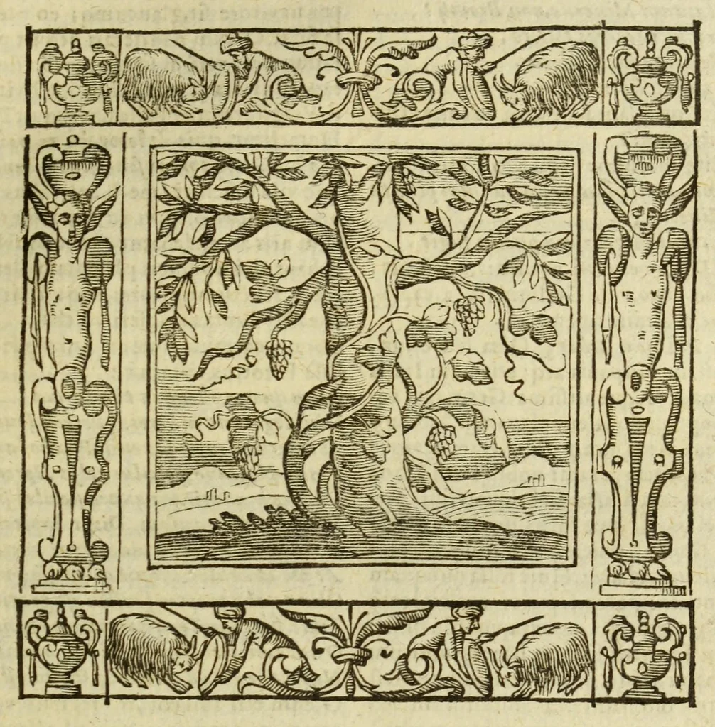 An illustration from Andreae Alciati Emblemata, 1621, leaf 219