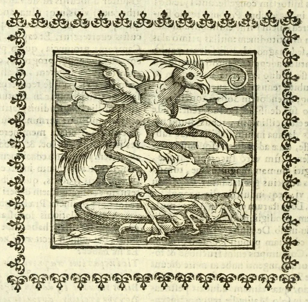 An illustration from Andreae Alciati Emblemata, 1621, leaf 634