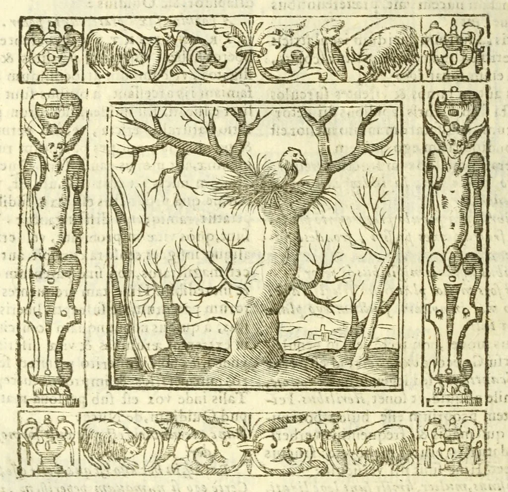 An illustration from Andreae Alciati Emblemata, 1621, leaf 908