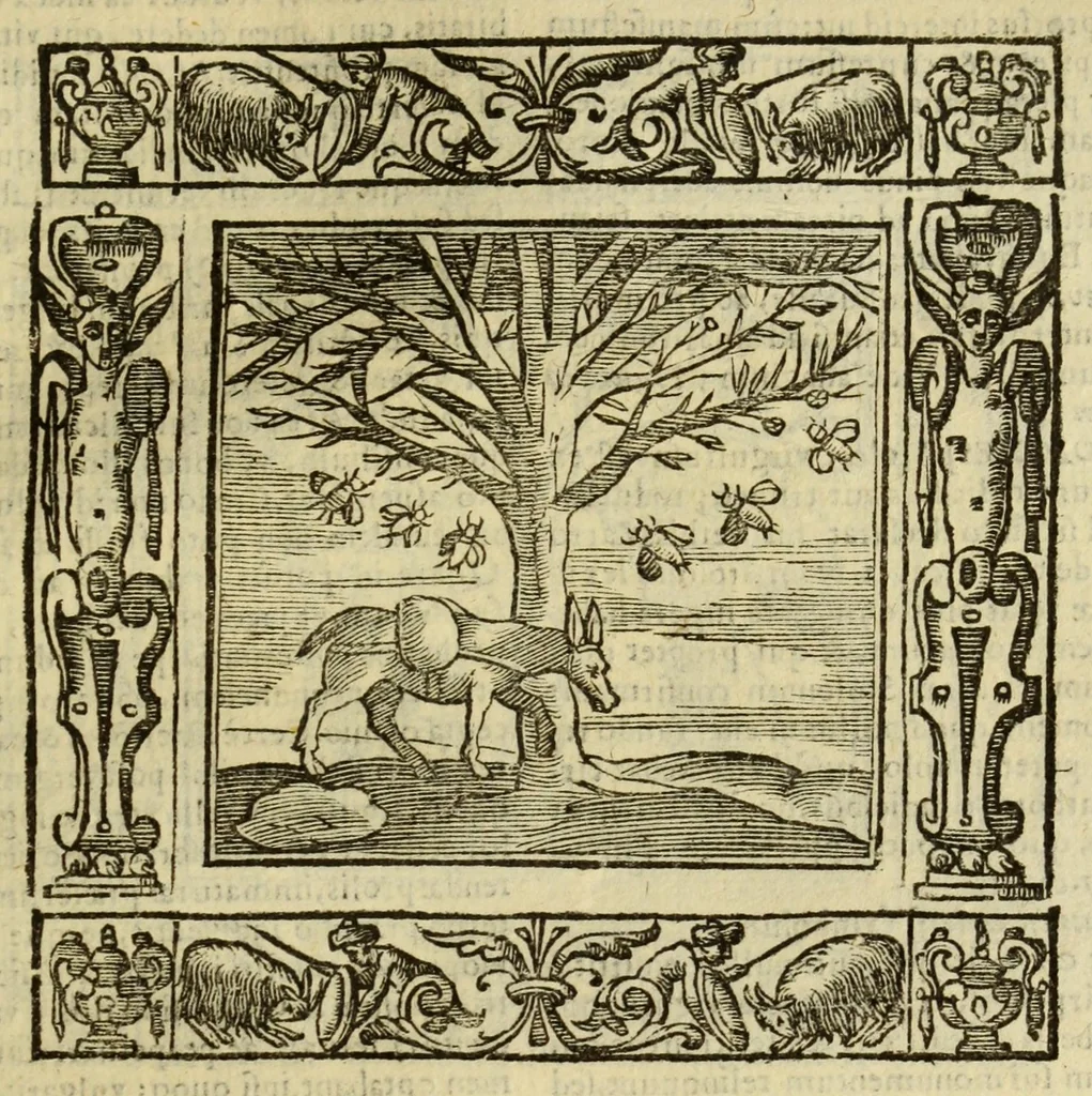 An illustration from Andreae Alciati Emblemata, 1621, leaf 943