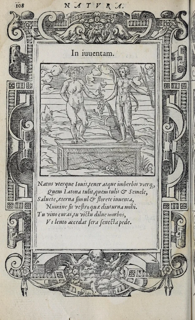 An illustration from Emblemata, 1551, leaf 114