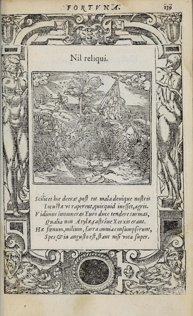 An illustration from Emblemata, 1551, leaf 145