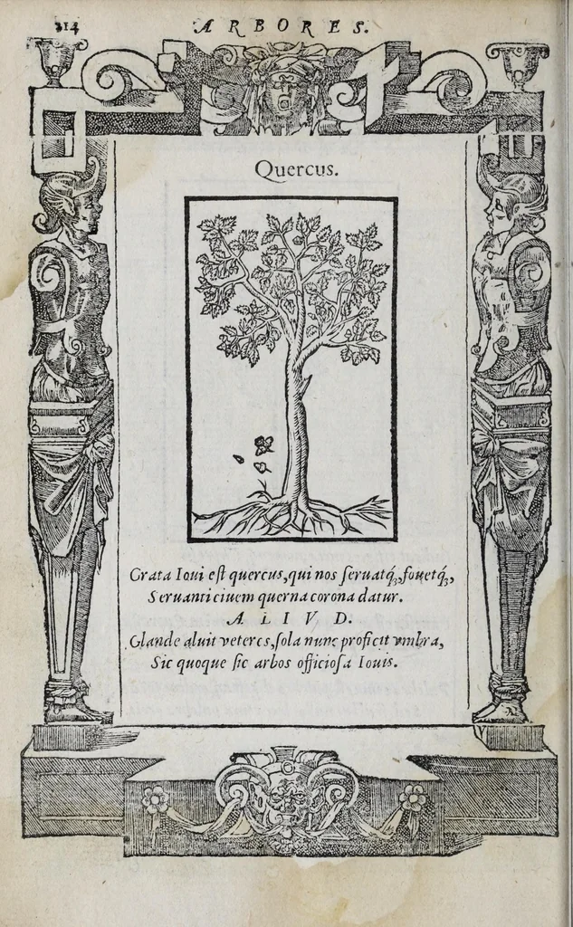 An illustration from Emblemata, 1551, leaf 220