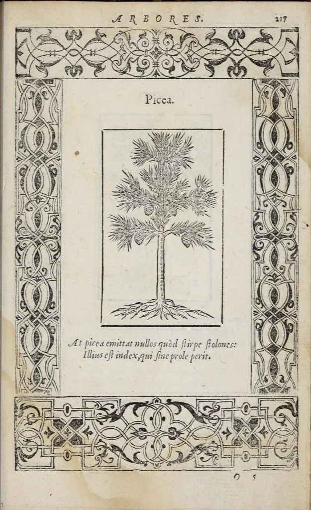 An illustration from Emblemata, 1551, leaf 223