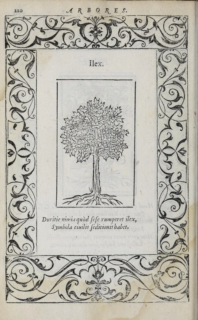 An illustration from Emblemata, 1551, leaf 226