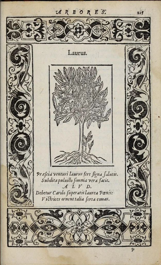 An illustration from Emblemata, 1551, leaf 231