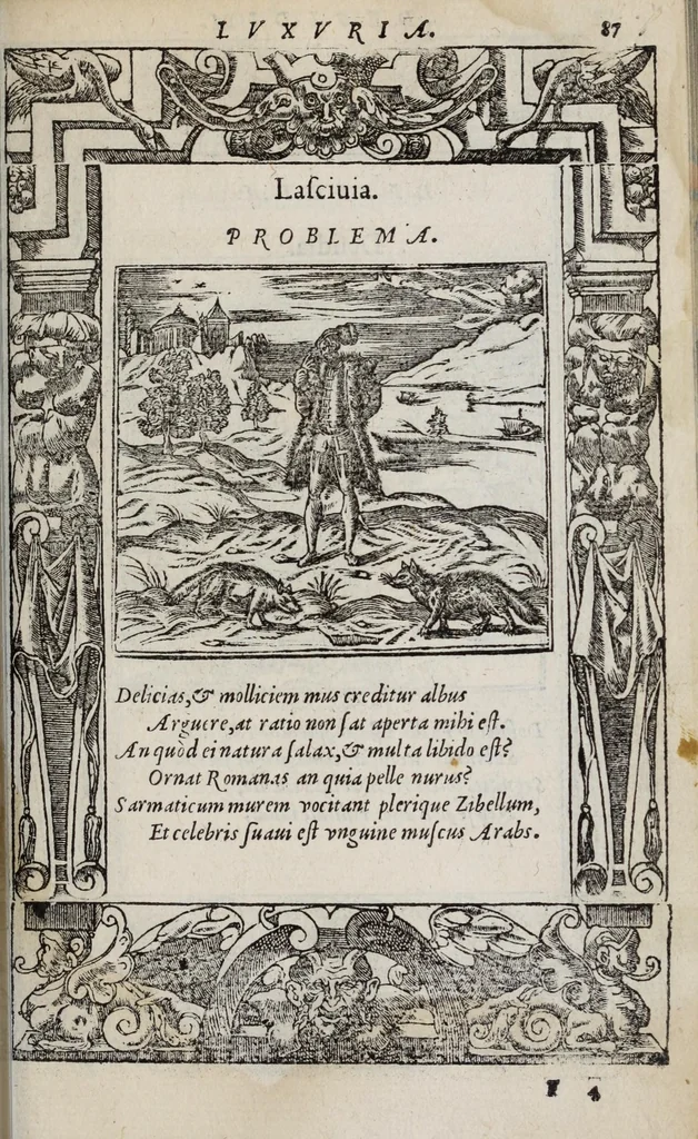 An illustration from Emblemata, 1551, leaf 93