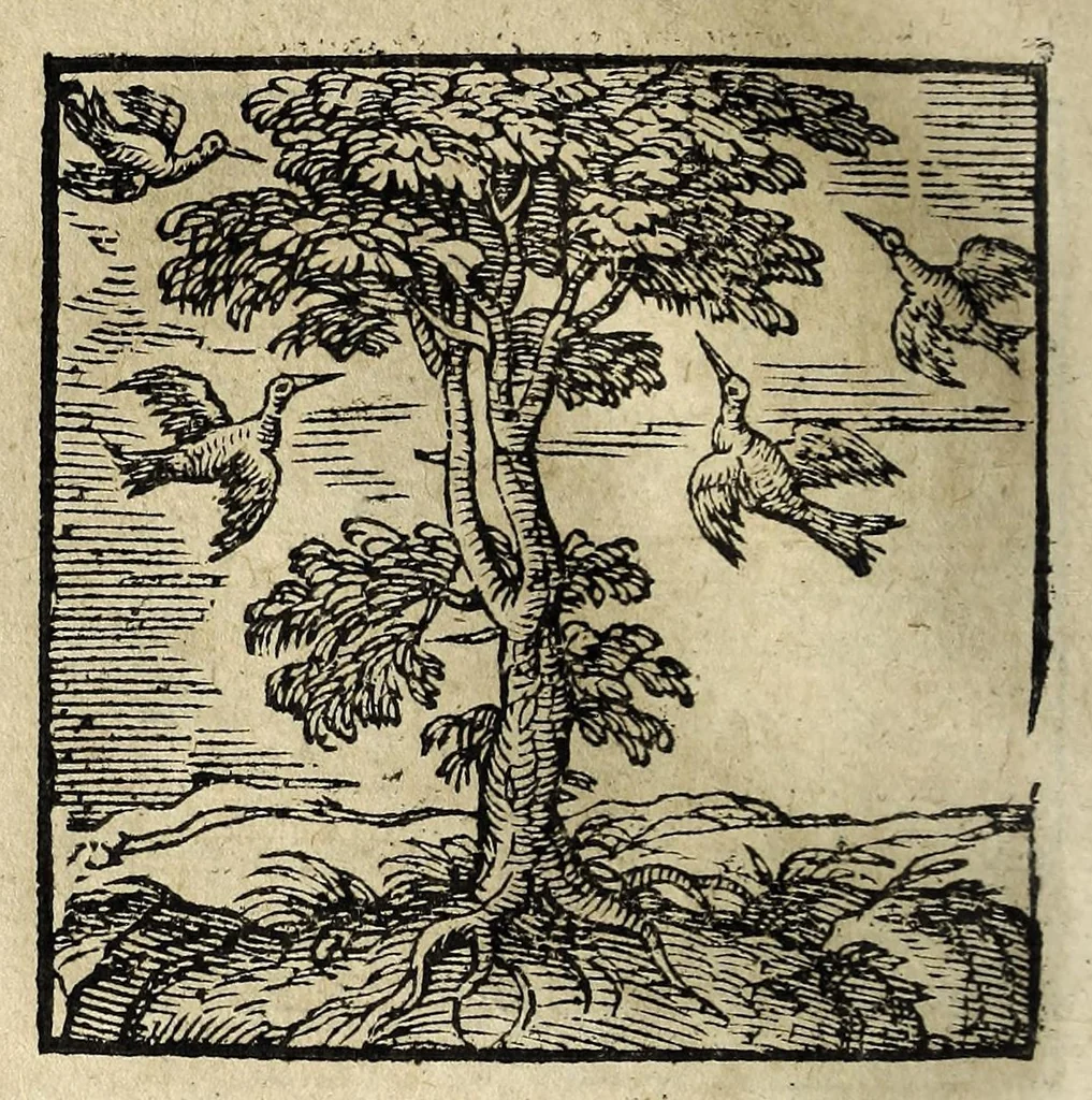 An illustration from Emblemata, 1608, leaf 102