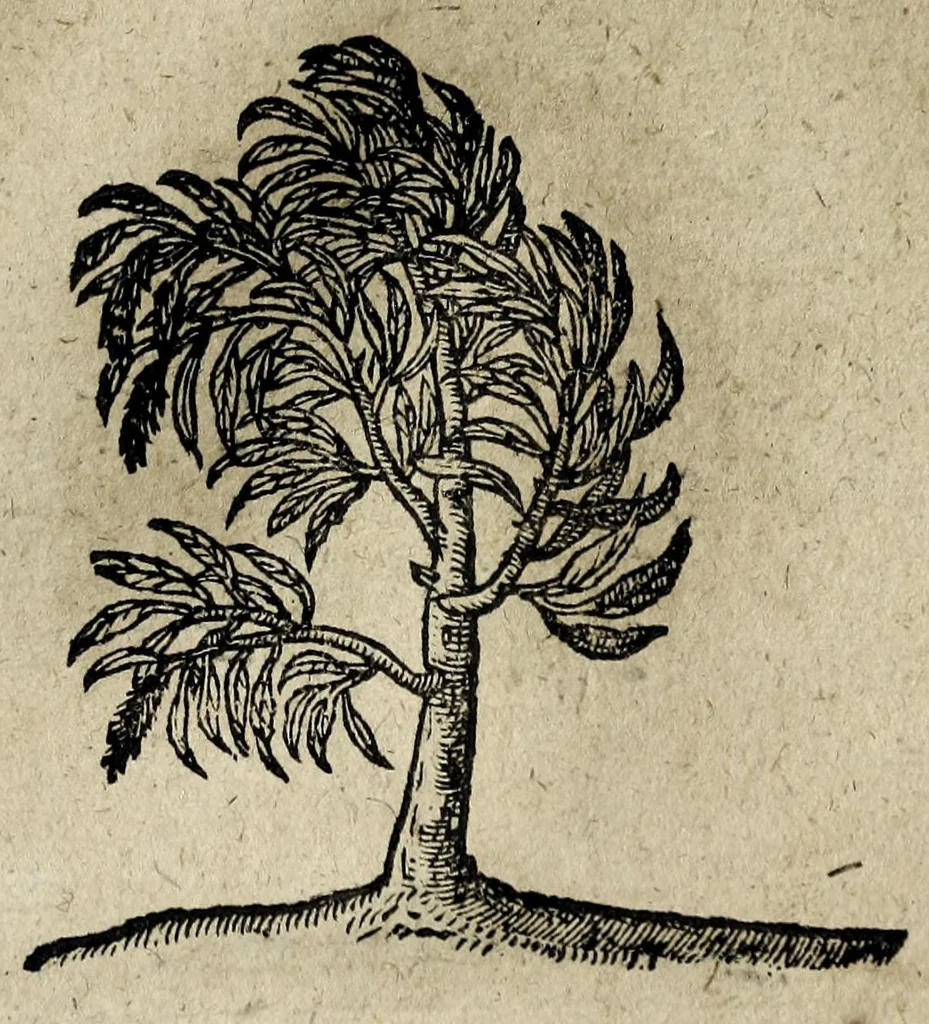 An illustration from Emblemata, 1608, leaf 231