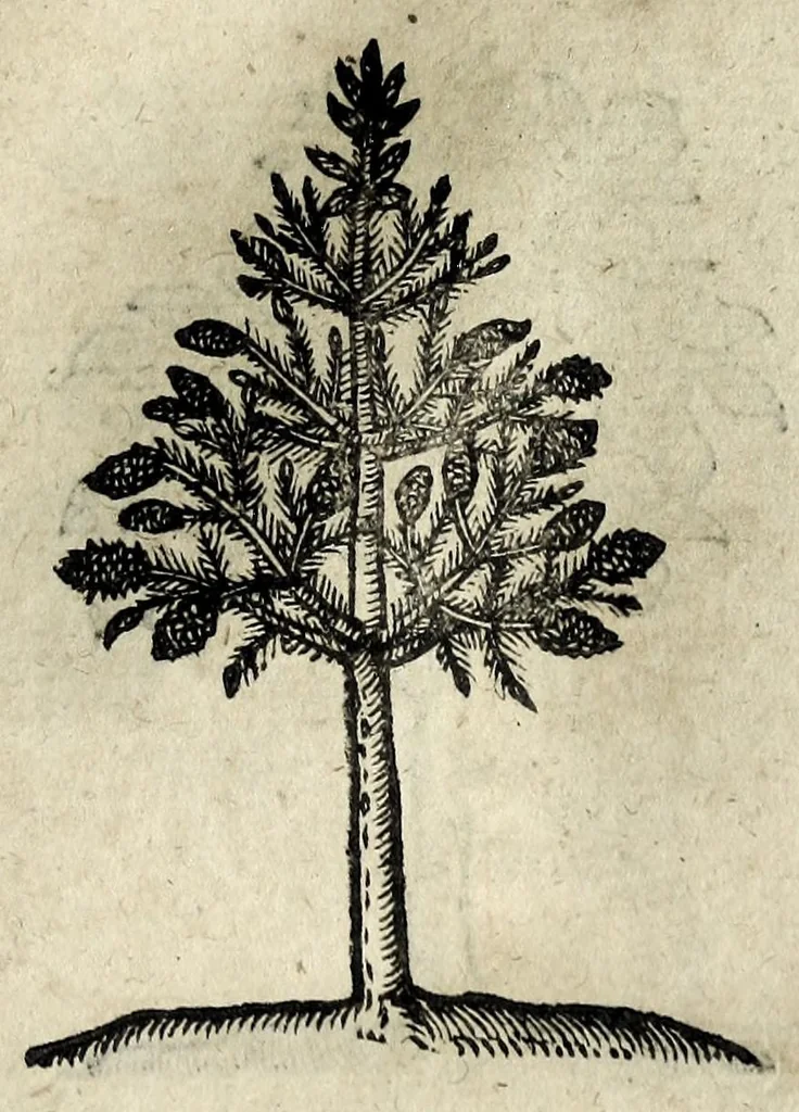 An illustration from Emblemata, 1608, leaf 233