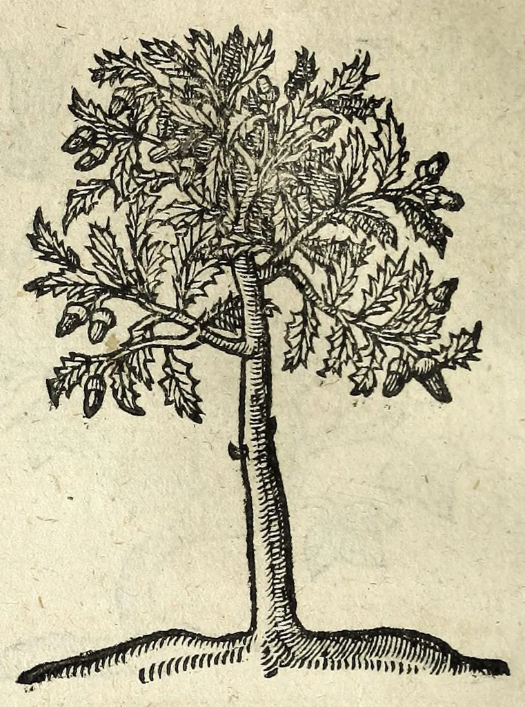 An illustration from Emblemata, 1608, leaf 236