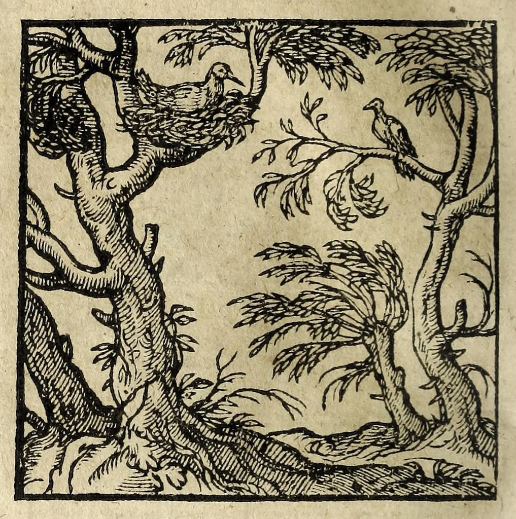 An illustration from Emblemata, 1608, leaf 90