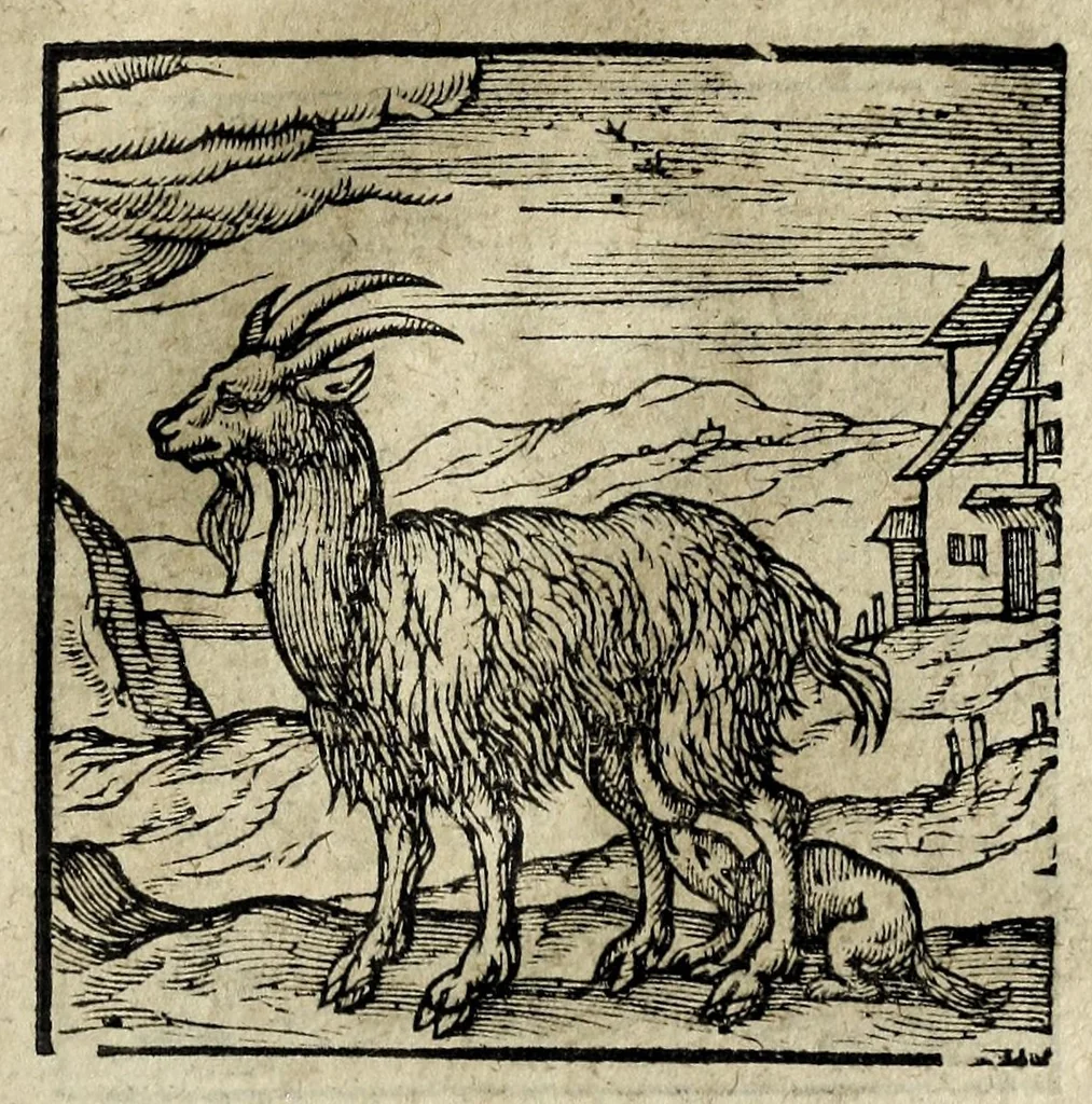An illustration from Emblemata, 1608, leaf 93