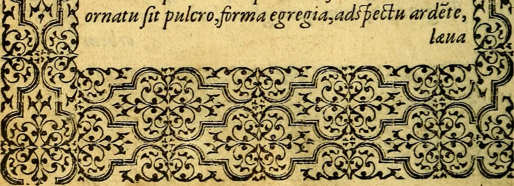 An illustration from Emblemata, 1565, leaf 145