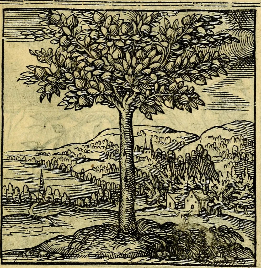 An illustration from Emblemata, 1565, leaf 36