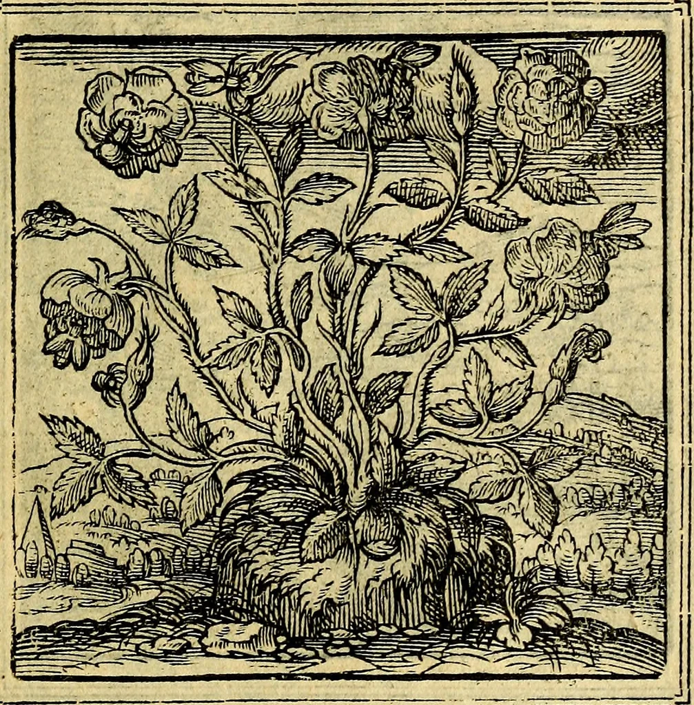An illustration from Emblemata, 1565, leaf 42