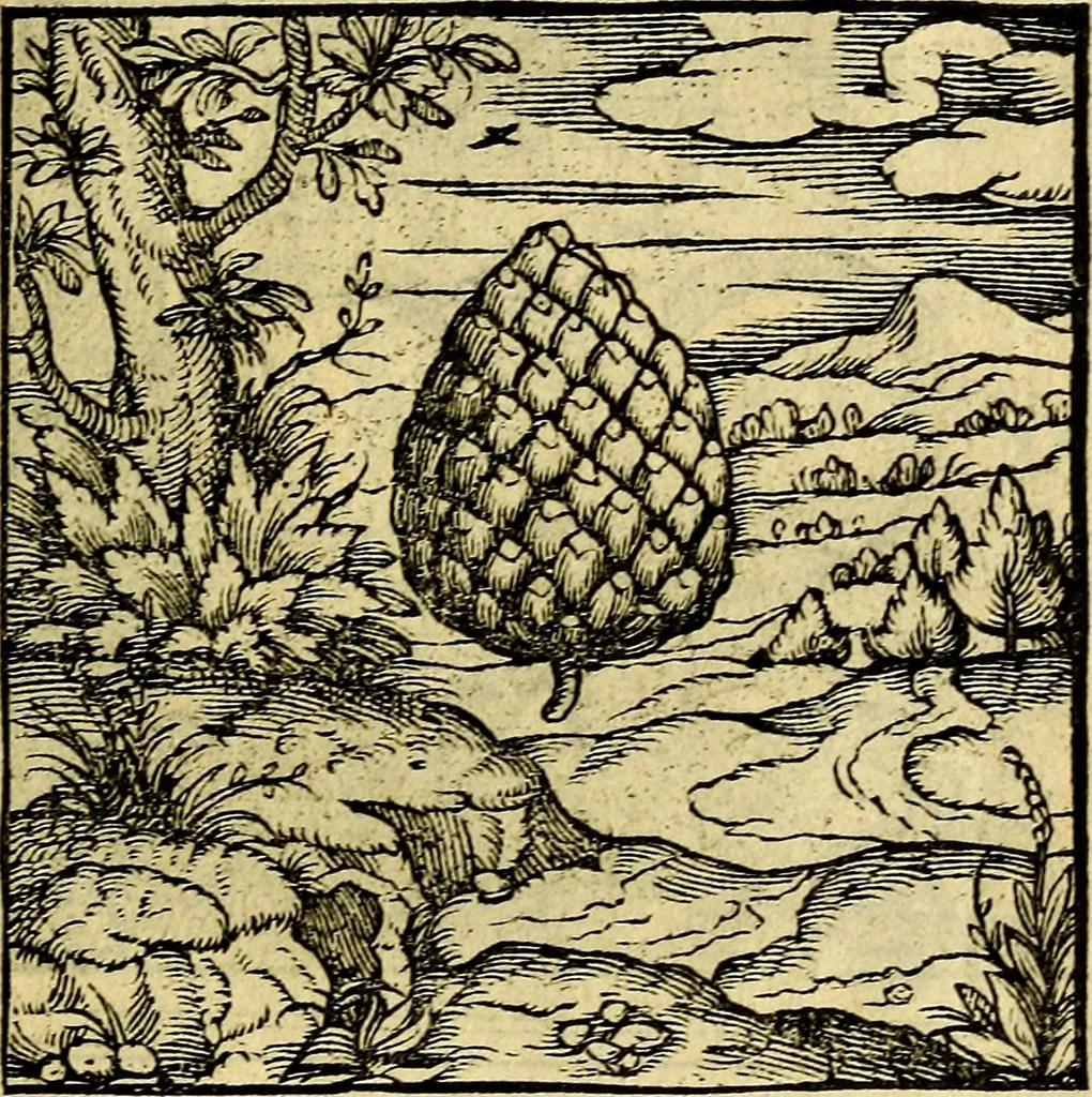An illustration from Emblemata, 1565, leaf 46