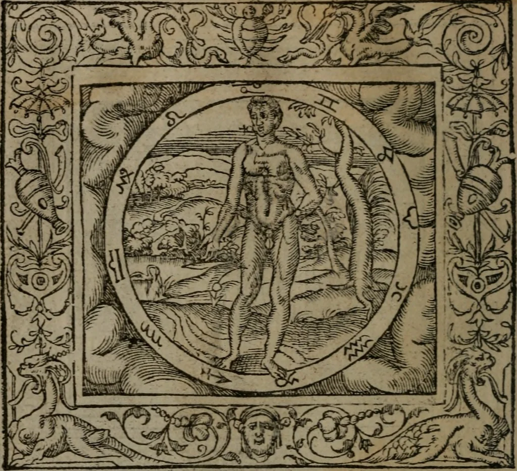 An illustration from Emblemata, 1564, leaf 123