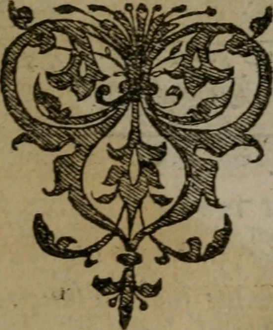 An illustration from Emblemata, 1564, leaf 132