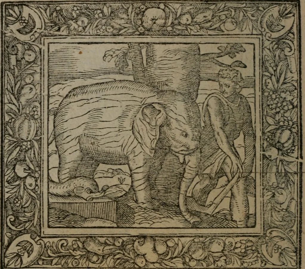 An illustration from Emblemata, 1564, leaf 189