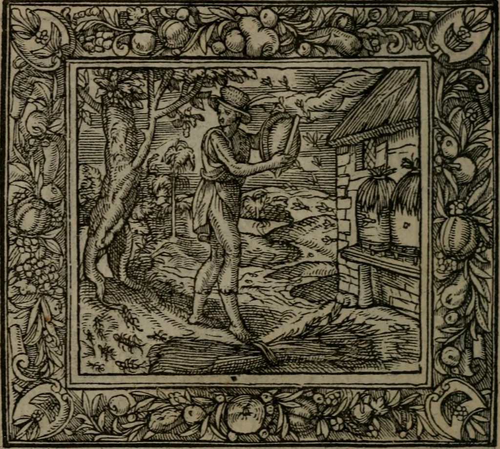 An illustration from Emblemata, 1564, leaf 29
