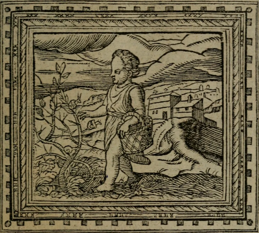 An illustration from Emblemata, 1564, leaf 42