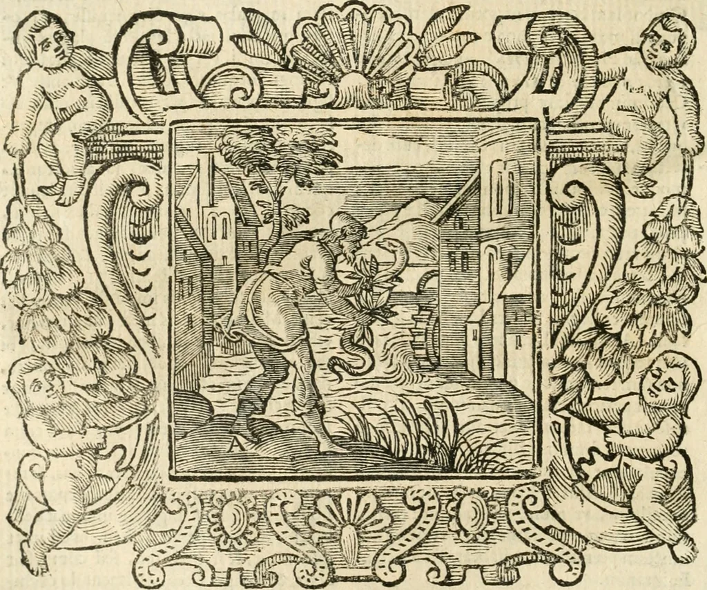An illustration from Emblemata, 1661, leaf 203