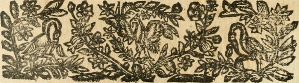 An illustration from Emblemata, 1661, leaf 211