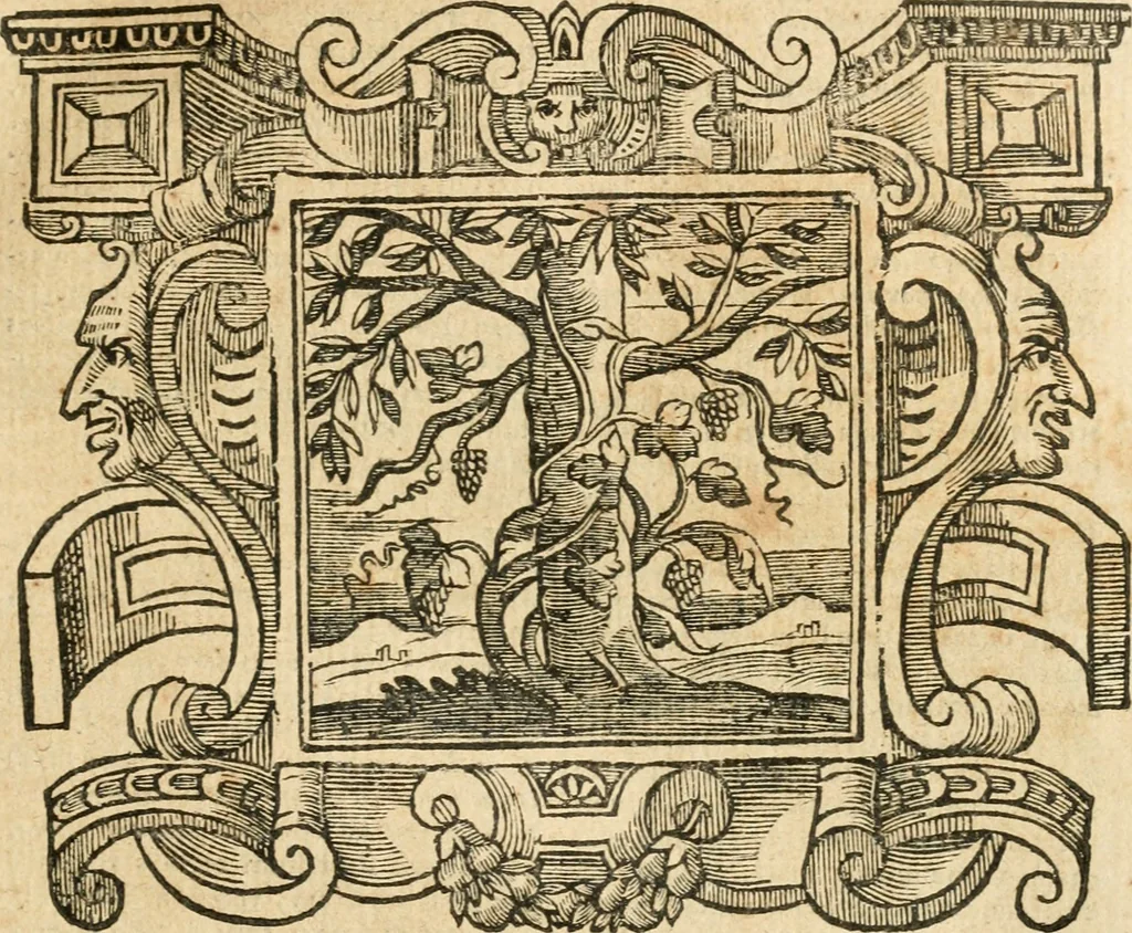 An illustration from Emblemata, 1661, leaf 218