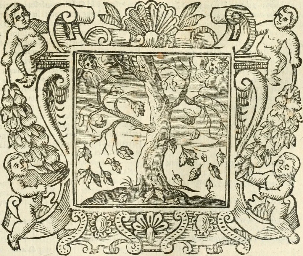 An illustration from Emblemata, 1661, leaf 302