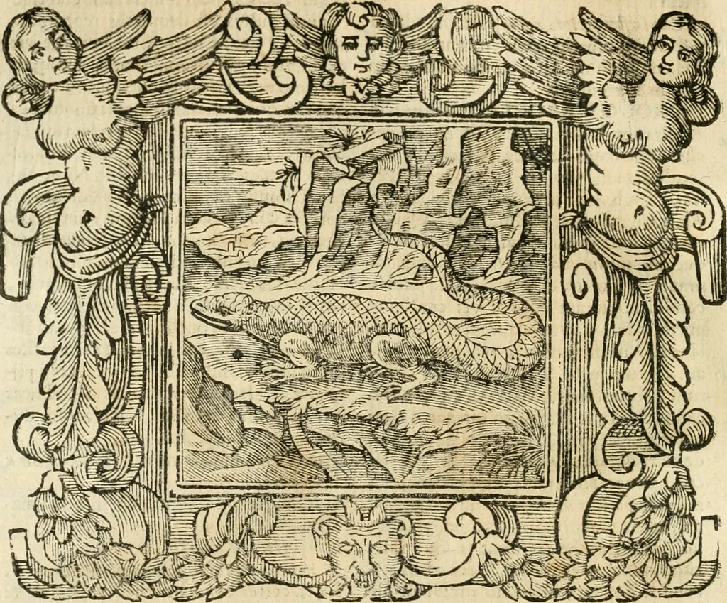 An illustration from Emblemata, 1661, leaf 325