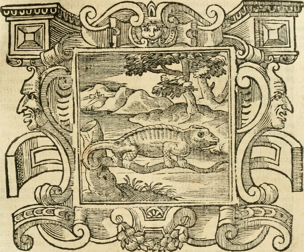 An illustration from Emblemata, 1661, leaf 338