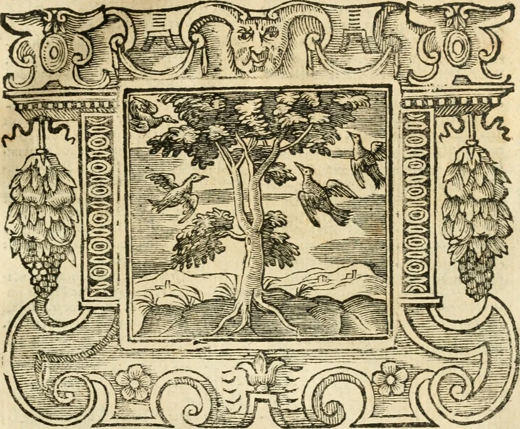 An illustration from Emblemata, 1661, leaf 408